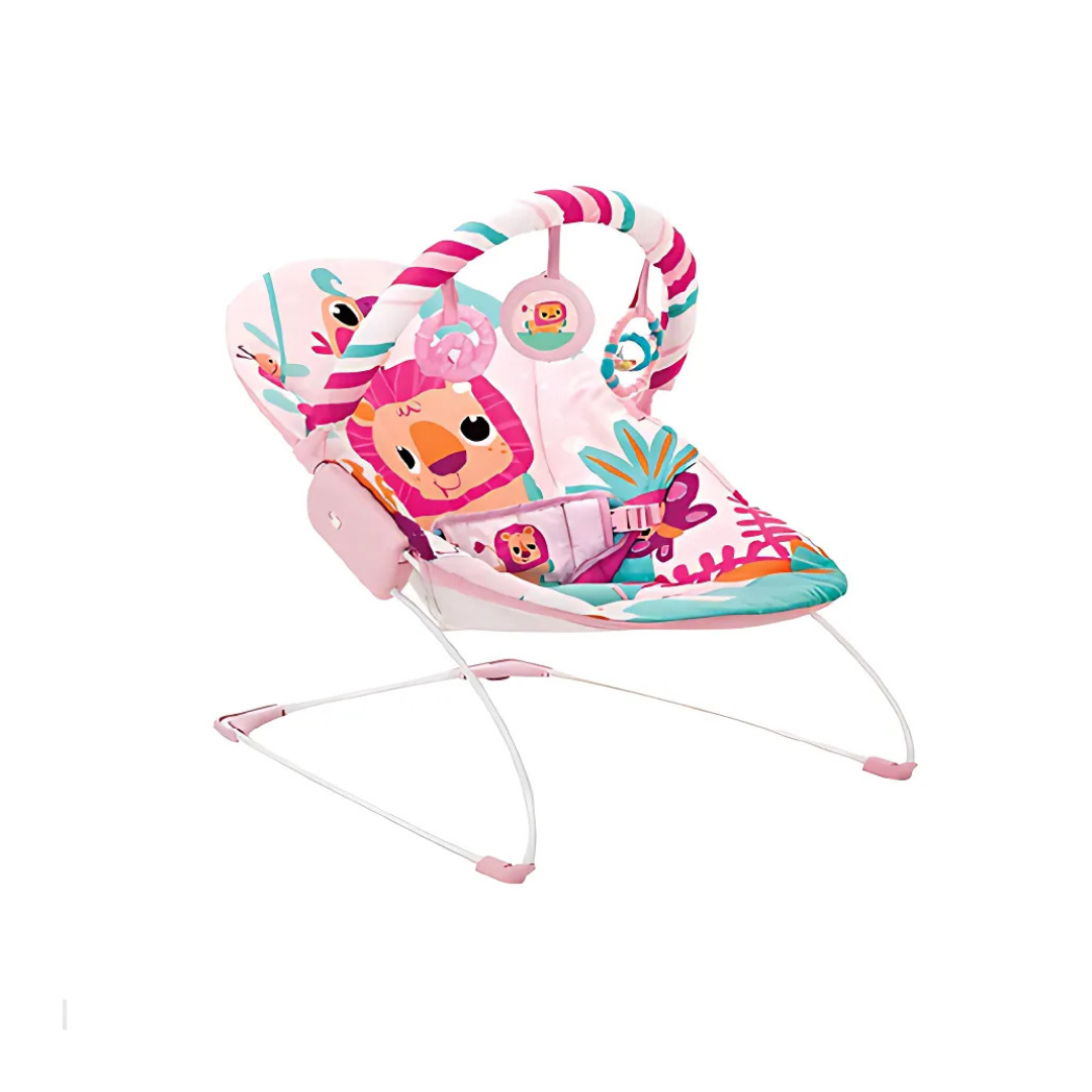 Baby Music and Soothe Bouncer