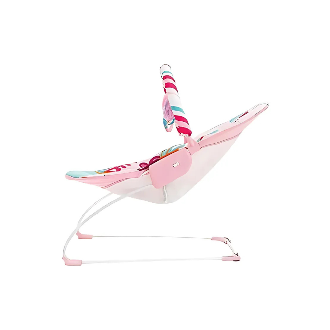 Baby Music and Soothe Bouncer