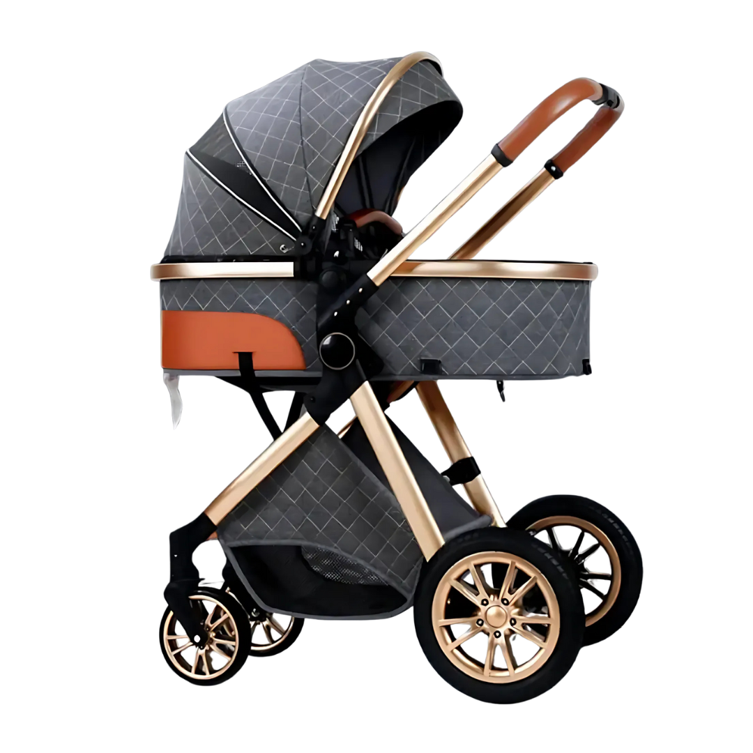 Adjustable High View Baby Stroller Carriage
