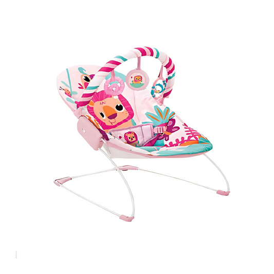 Baby Music and Soothe Bouncer