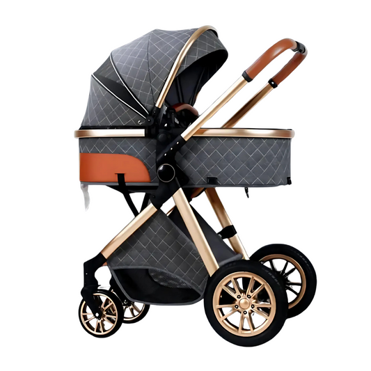 Adjustable High View Baby Stroller Carriage